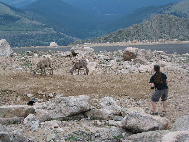 Mt Evans 022.JPG